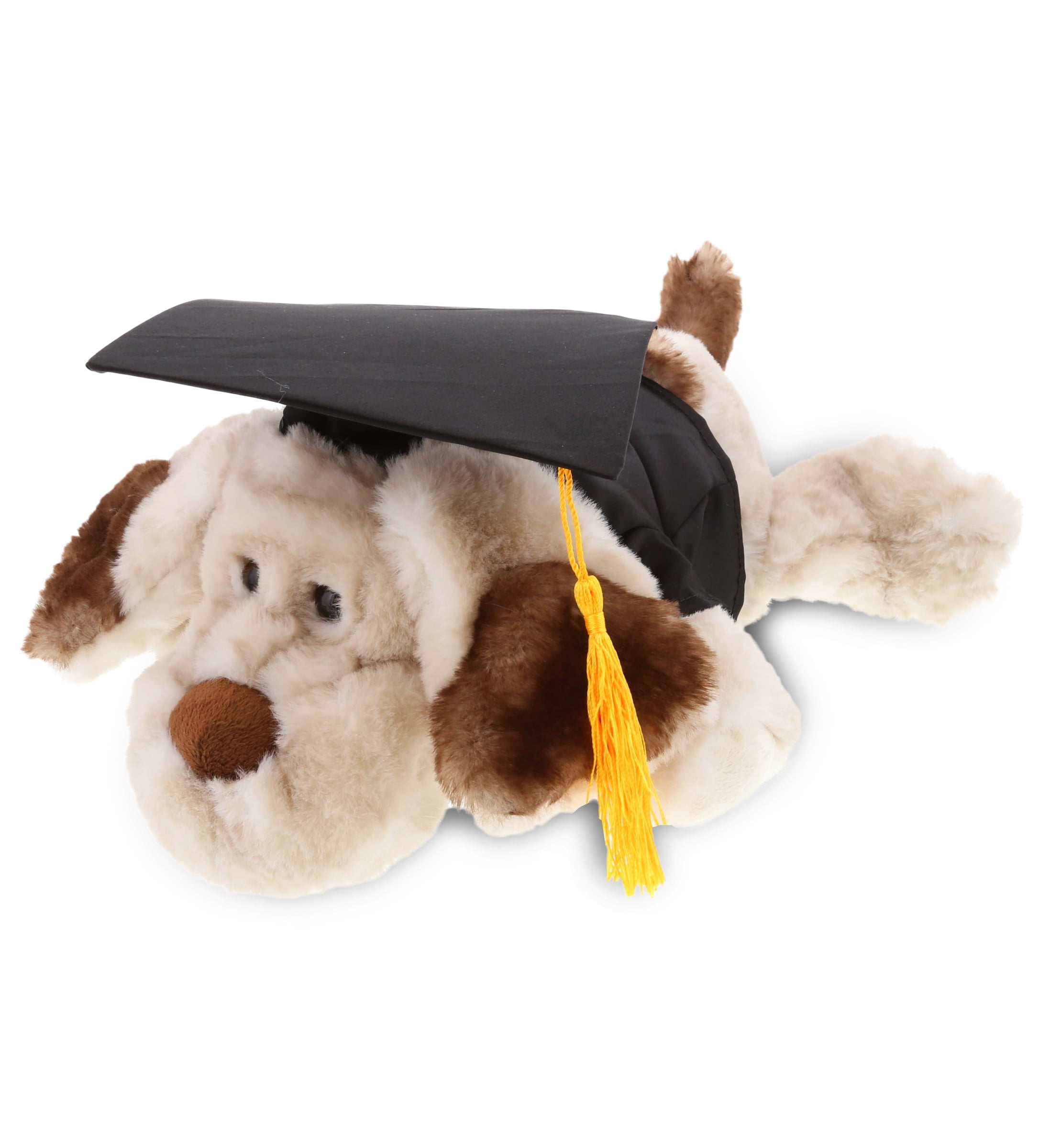 Graduation Dog in Cap and Gown Graduation Dog Card Personalized and  Customizable 5x7 Greeting Card - Etsy
